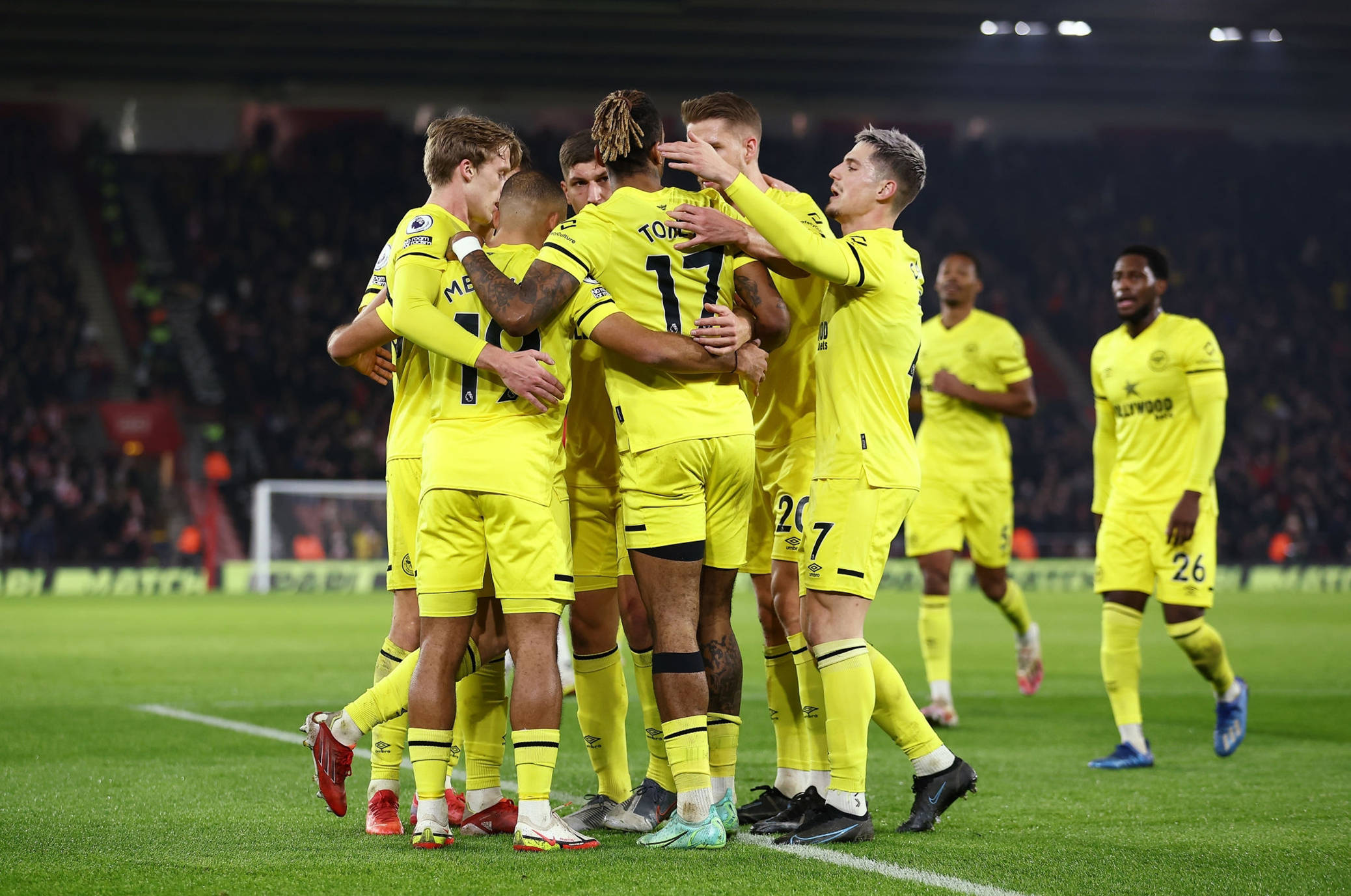 仅强调了 仅强调了